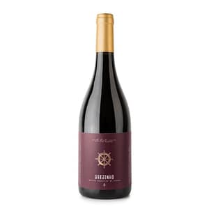 BREJINHO DA COSTA RESERVA TINTO 0,75L