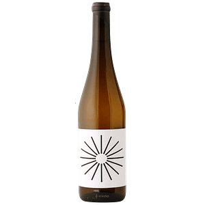 Saravá Loureiro 2024